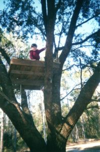 When the backyard you've claimed as your own since you were 4 has the perfect tree for a treehouse, there is only one thing to do. Especially when your daddy tells you, " We are going to build a treehouse."