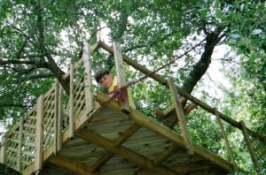 The day came when our middle child left home and after settling the new nurse in her apartment we got down to business. We decided we had to make a life as a family of three. First order of business that Labor Day Weekend 2006 was to finish the treehouse. We weren't adding electricity, a roof or anything but the two levels with "walls," and a pulley dumbwaiter for breakfast under that big oak tree.