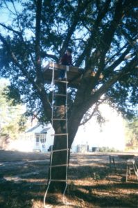 And so it began with Andy in January 2001 and the first level of his tree house accessible by a homemade rope ladder.